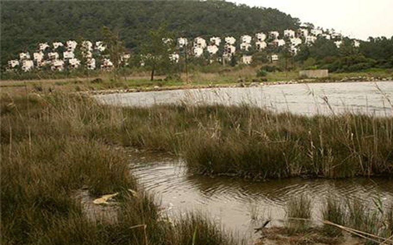 BODRUM KENT KONSEYİ GÖLKÖY’DE BULUŞUYOR…