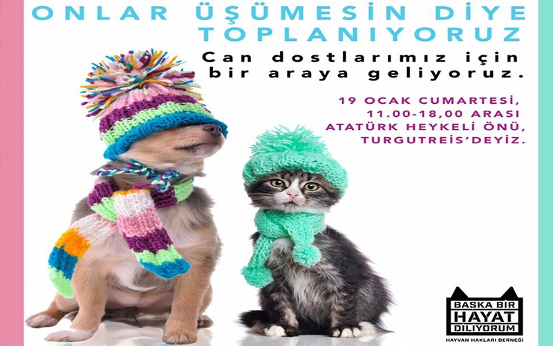 ONLAR ÜŞÜMESİN DİYE TOPLANIYORLAR