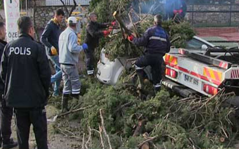 100 KM HIZLA BODRUM’UN ALTINI ÜSTÜNE GETİRDİ…
