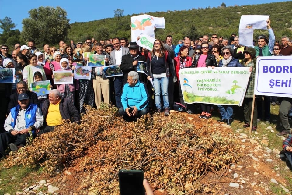 bodrum-kent-konseyi-kargicik-koyu-1