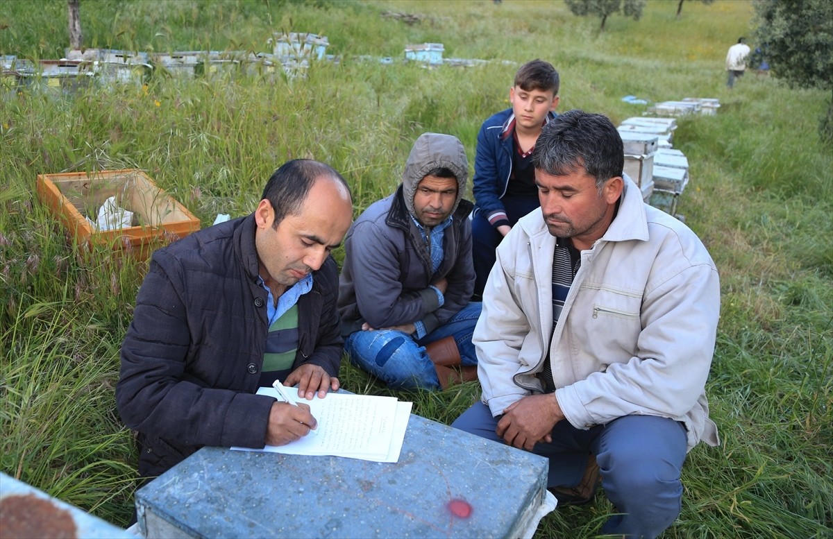 TOPLU ARI ÖLÜMLERİ PANİK YARATTI…