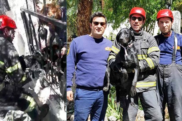 BAHÇE KAPISINA SIKIŞAN KÖPEĞİ İTFAİYE KURTARDI…