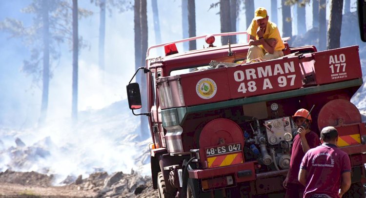 ŞENYAYLA MEVKİİNDE 6 HEKTAR ORMAN KÜL OLDU…