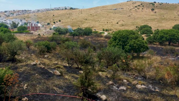 İZMARİT 3 DÖNÜMLÜK ALANI YAKTI…