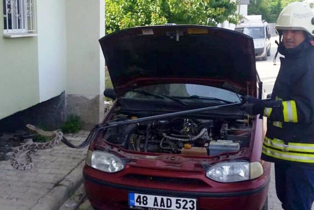 fethiye-asayis-yilan