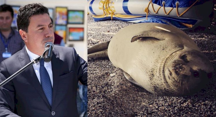 aras binnaza sahip çıktı