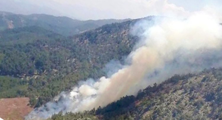 MİLAS’DA ORMAN YANGINI…