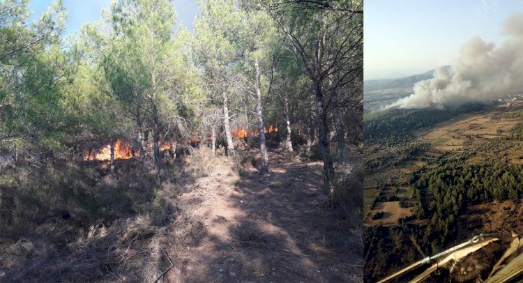 YANGINDA 2 HEKTAR ORMANLIK ALAN ZARAR GÖRDÜ…