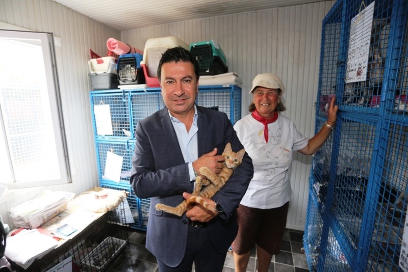 BODRUM’DA YALNIZ YAŞAMADIĞIMIZIN FARKINDAYIZ…