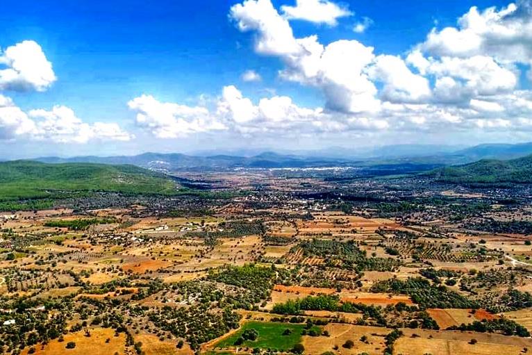 bodrumda tarım hamlesi 2