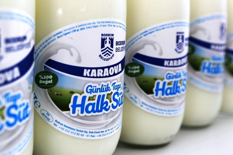 karaova halk sut 1