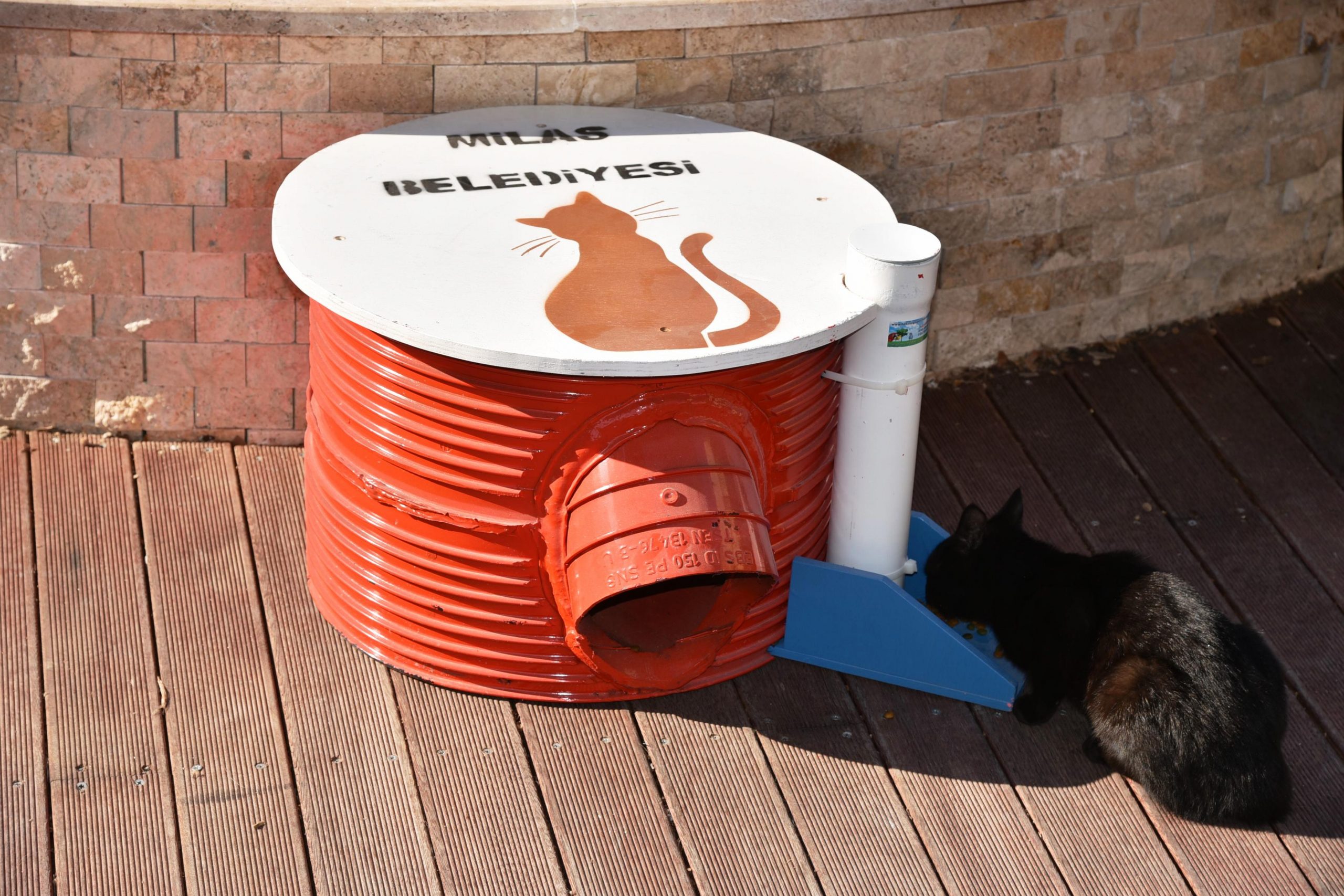 Milas’ta kedilerin yaşamı artık daha kolay…