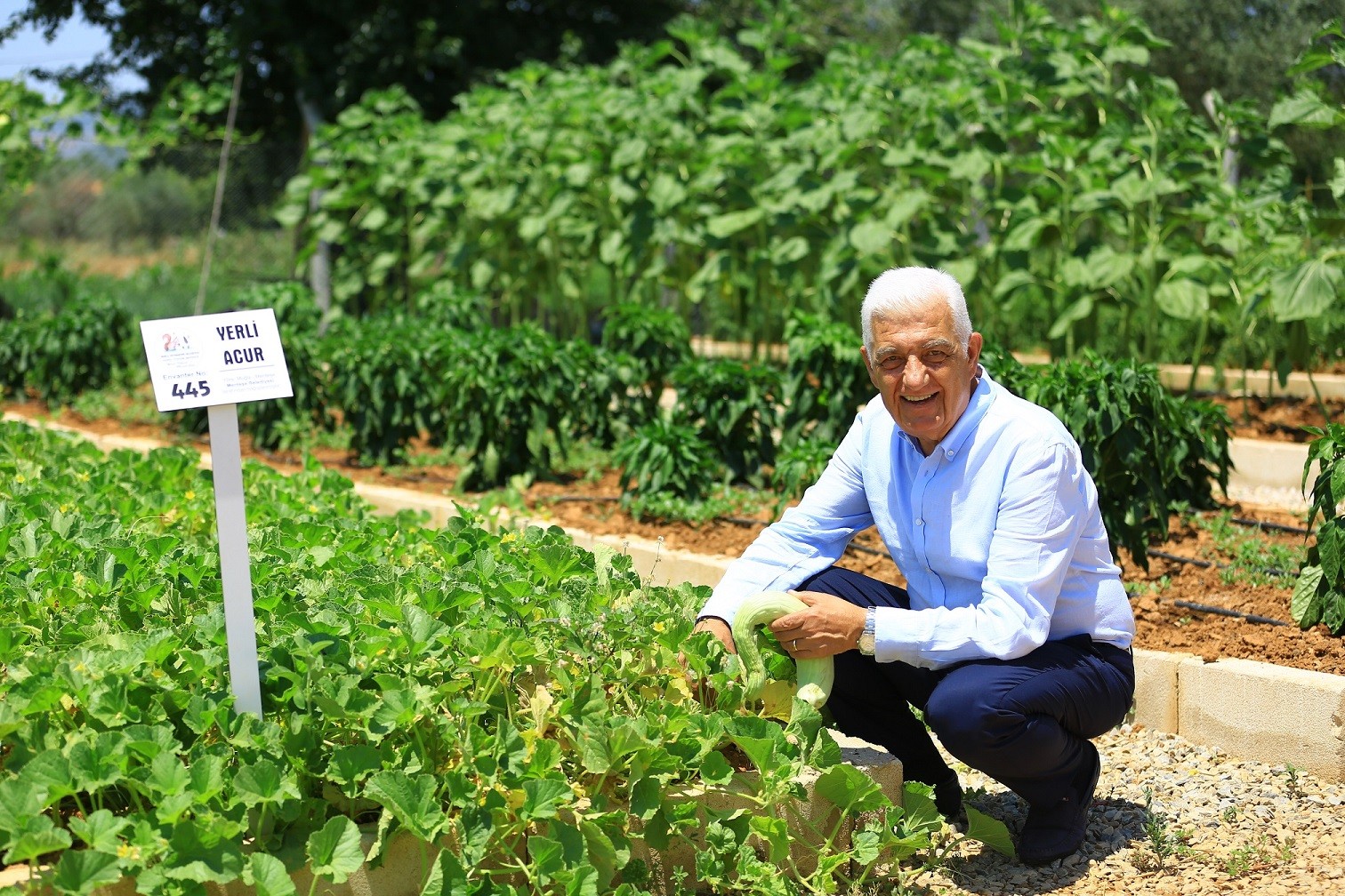 ‘Tarlanıza Geliyoruz’ projesi üreticiye umut oluyor…