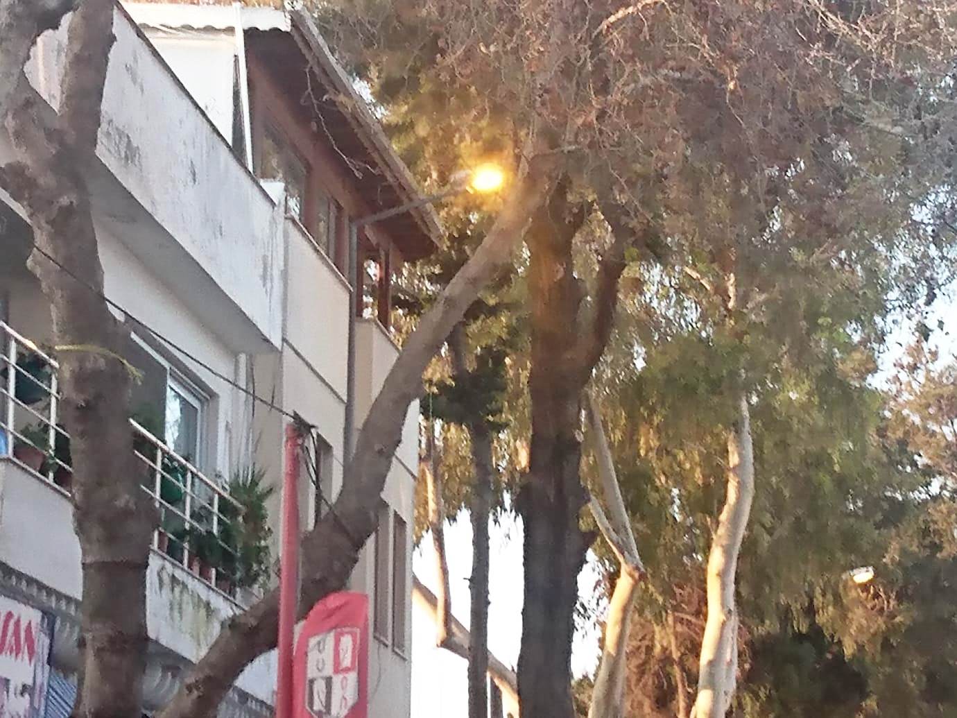 Turgutreis’in sokak lambaları gece sönüp, gündüz yanıyor…