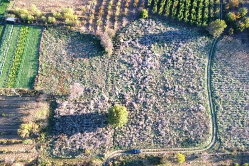 Arazi ve arsa yönetmeliği sil baştan…