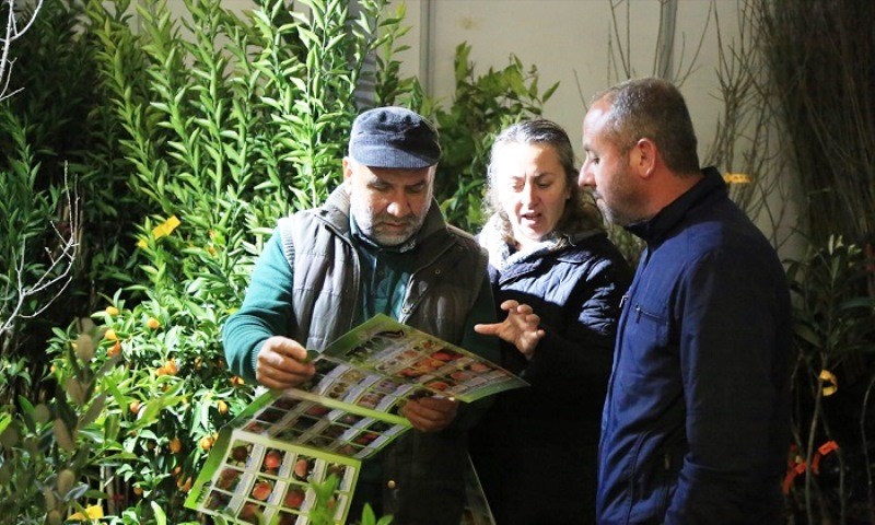 Milas Güney Ege Fuarı devam ediyor…