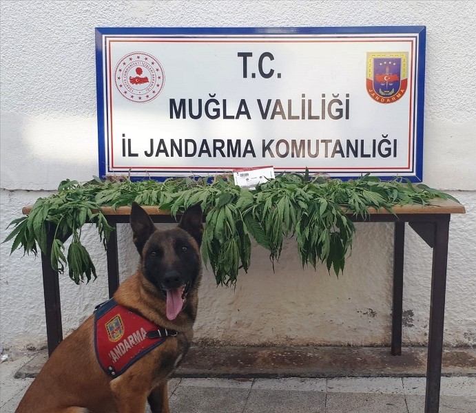 Uyuşturucu Operasyonunda Bir Şüpheli Gözaltında…