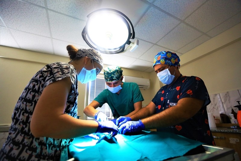 20200807_2_43791068_57274232_Web