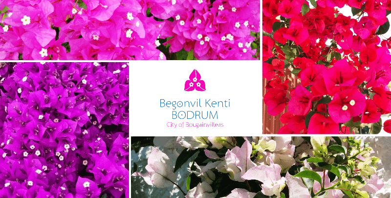 Bodrum’a Yeni Bir Gömlek Daha…