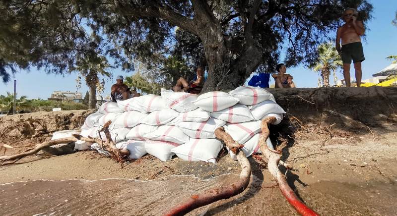 Deniz Hareketi Kıyıdaki Ağaçların Kökünü Çıkardı…