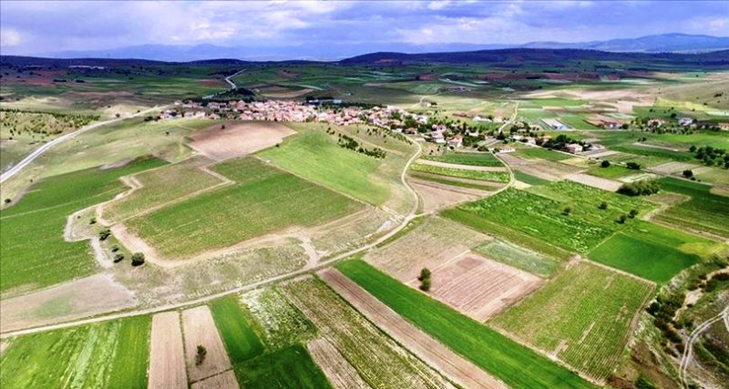 Muğla’da Binlerce Hektar Arazi Toplulaştırıldı…