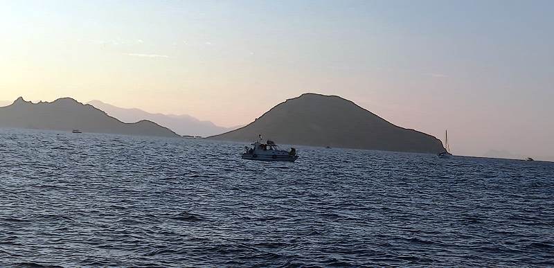 deniz-patlicani-avi-4