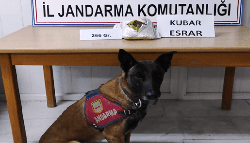İzinli Çıktığı Cezaevine Uyuşturucu Sokmaya Çalıştı…