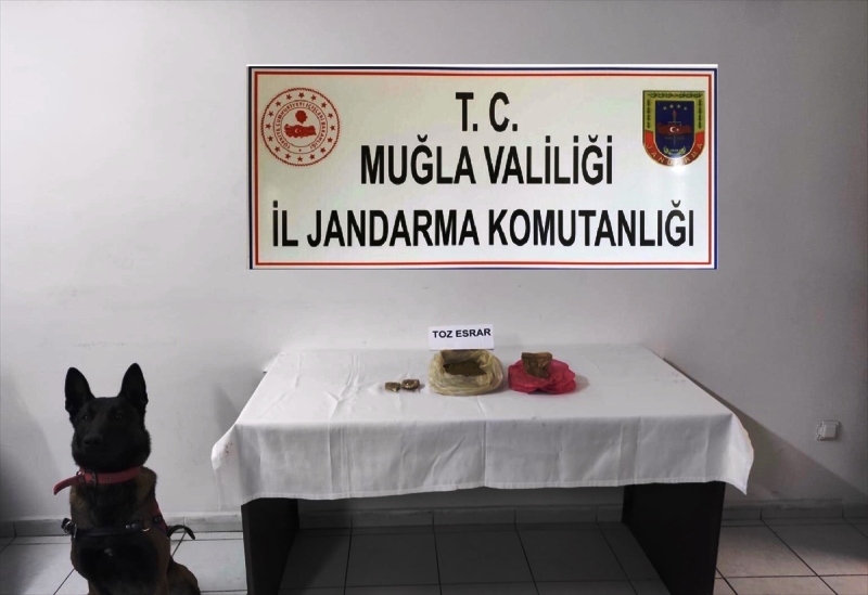 20210120_2_46464837_61769717_Web