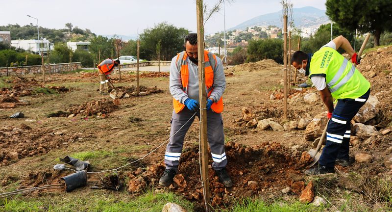Aras: Bir Taraftan Korurken Bir Taraftan Arttıracağız…