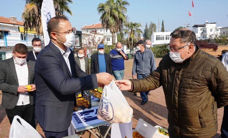 Belediyenin Atıl Bahçelerinden İlk Hasat…