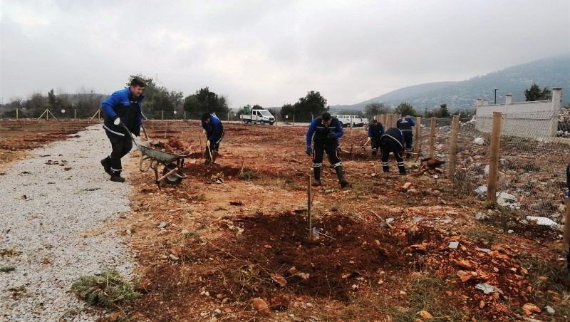 hortikulturel terapi 1