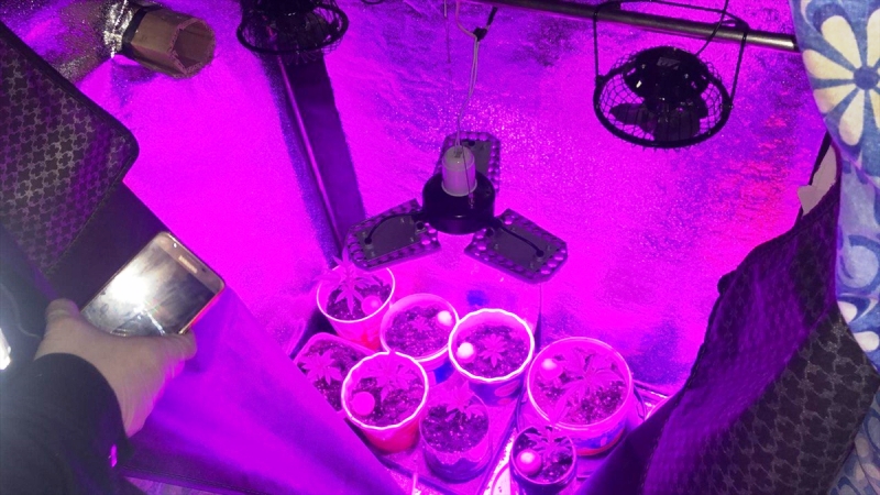 20210224_2_47025039_62815965_Web