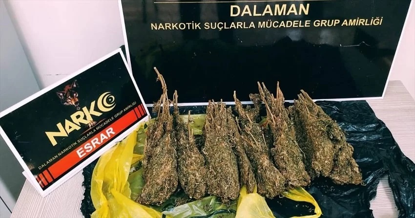 bodrum-narkotik