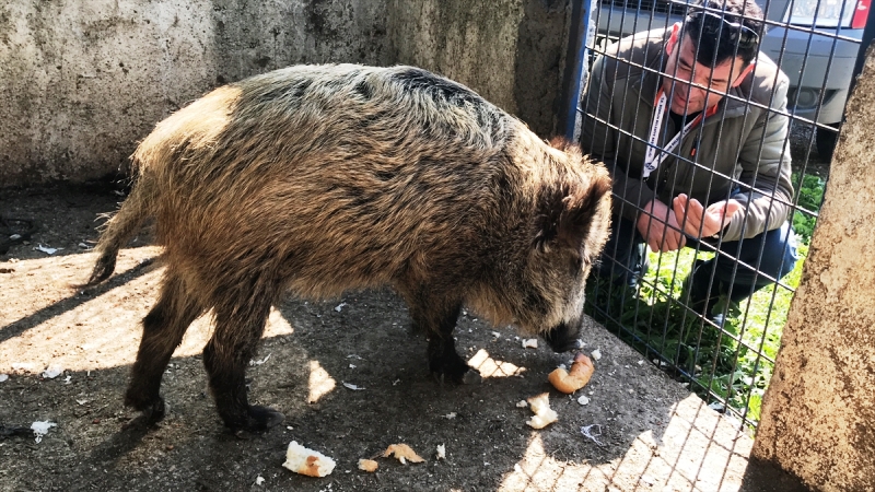 20210303_2_47145040_63025574_Web