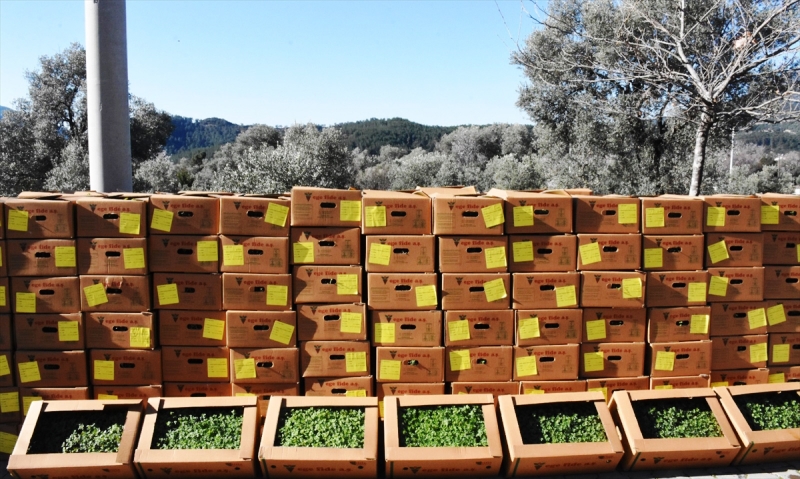 20210315_2_47336213_63383522_Web