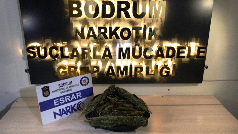 20210325_2_47511120_63691801_Web