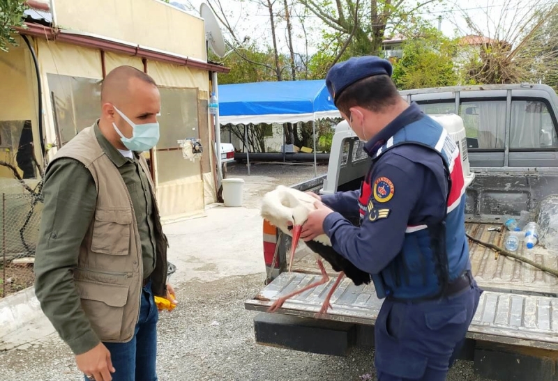 Yaralı Bulunan Leyleğe Jandarma Sahip Çıktı…