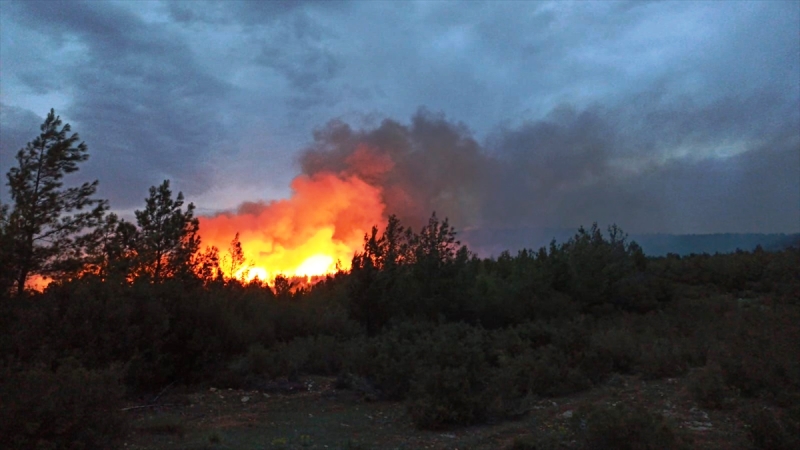 Kavaklıdere’deki Orman Yangını Rüzgarın Etkisiyle Büyüyor…