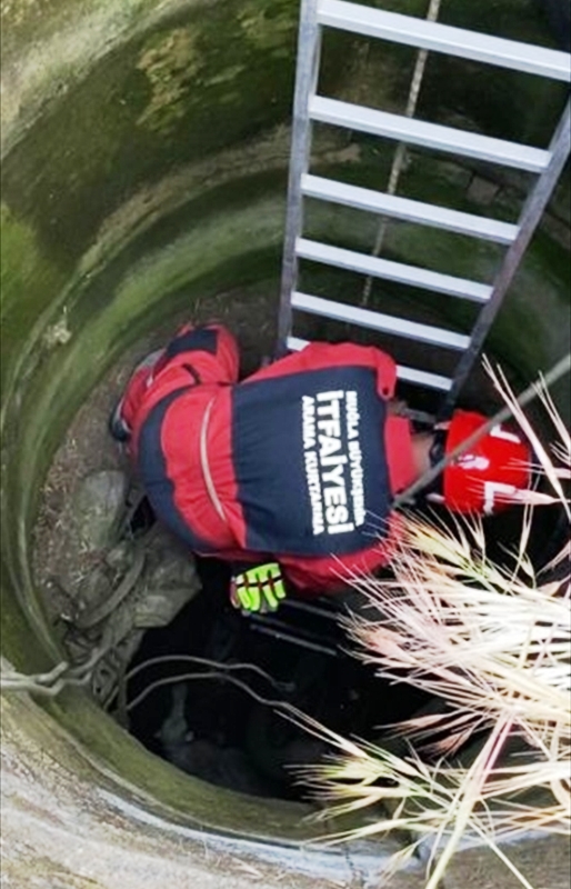 20210512_2_48245569_65067642_Web