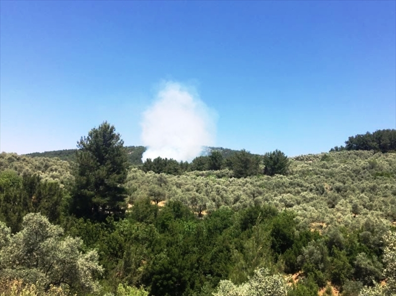 20210526_2_48470674_65519729_Web