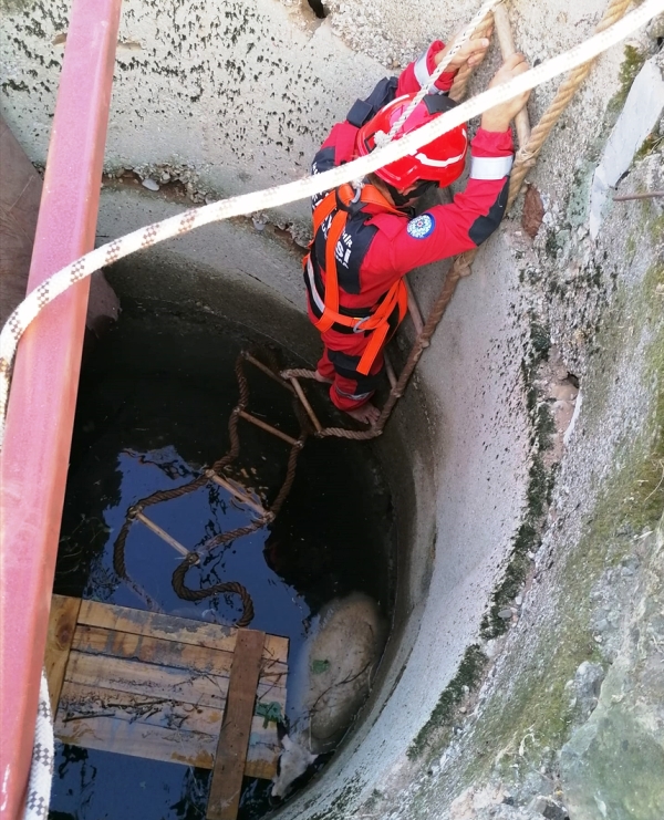 20210528_2_48504526_65578296_Web