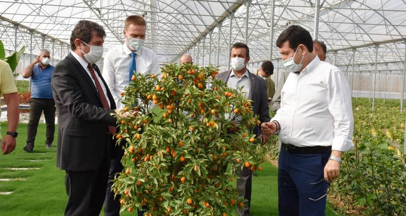 Vali Tavlı Tarım Üreticilerini Ziyaret Etti…