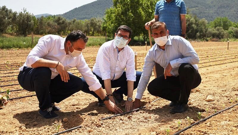 baris-saylak