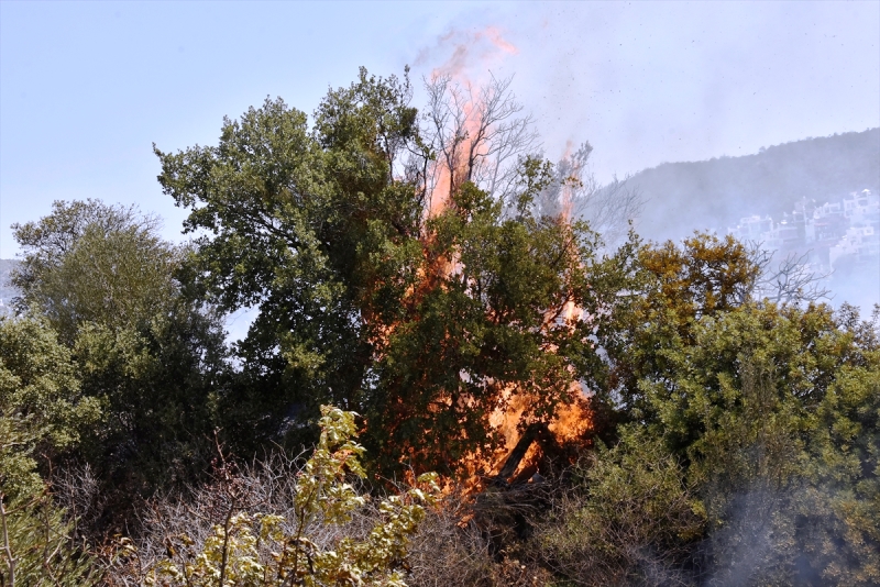 20210626_2_48936336_66447450_Web