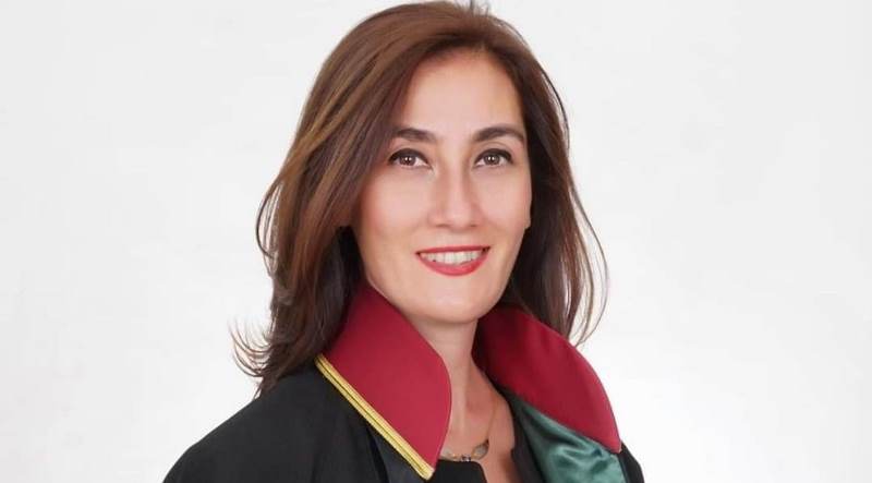 emine yenilmez aydemir
