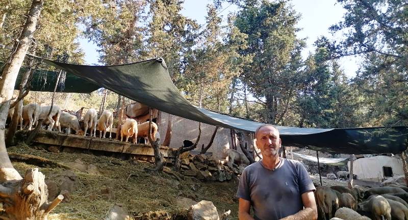 Kurbanlıkların Yetiştiği Ortam Önemli!