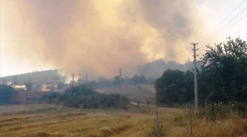 Milas Sınırında Orman Yangını…