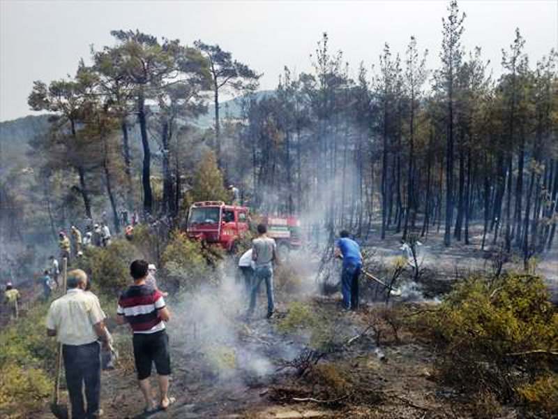 Muğla’nın Kavaklıdere İlçesinde Orman Yangını Çıktı…