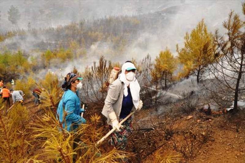 20210805_2_49490451_67664970_Thumb