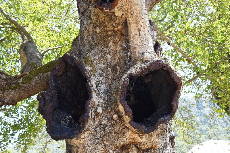 WhatsApp Image 2021-08-13 at 15.09.18 (2)